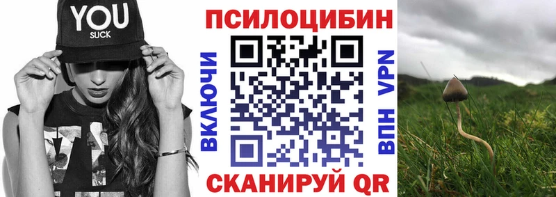 Псилоцибиновые грибы Magic Shrooms  цены наркотик  Кисловодск 